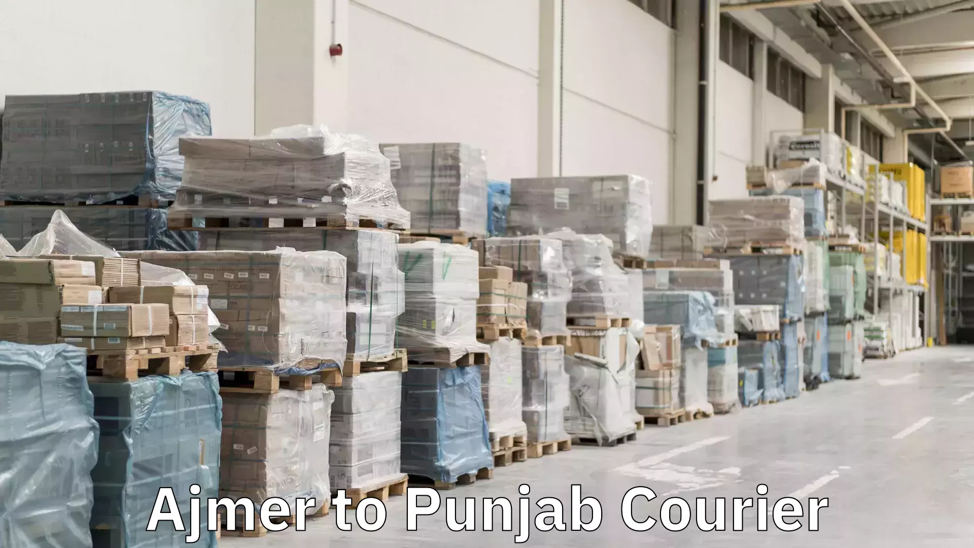Fast parcel dispatch Ajmer to Punjab