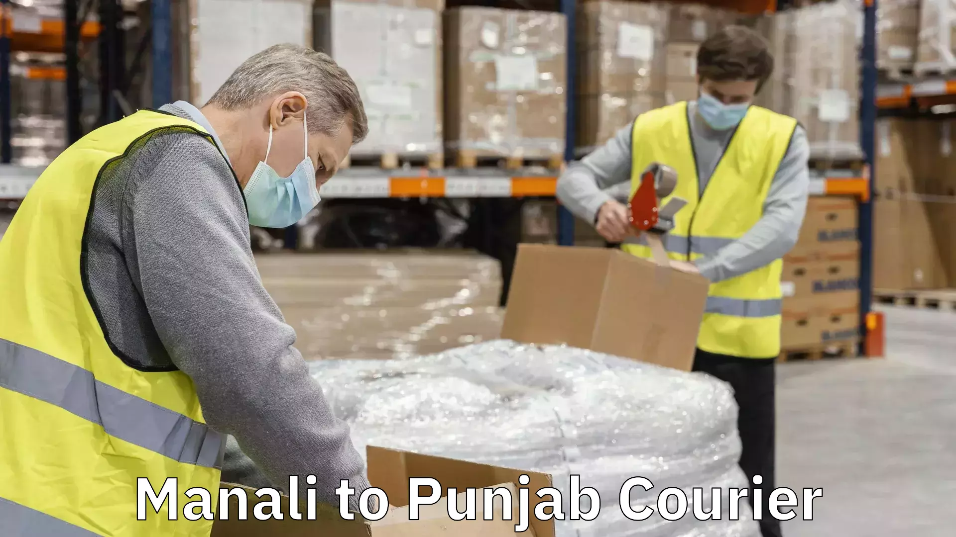 Innovative shipping solutions Manali to Punjab