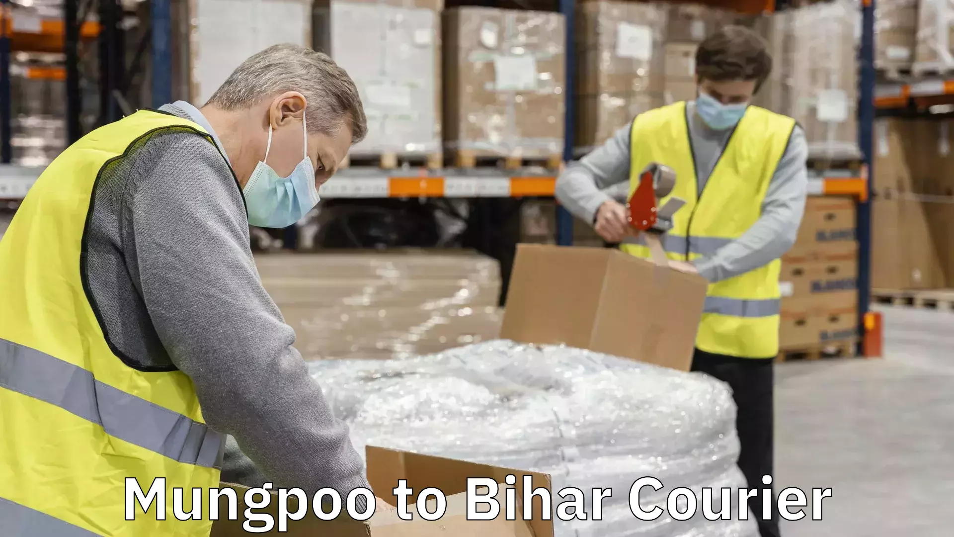 Overnight delivery Mungpoo to Bihar