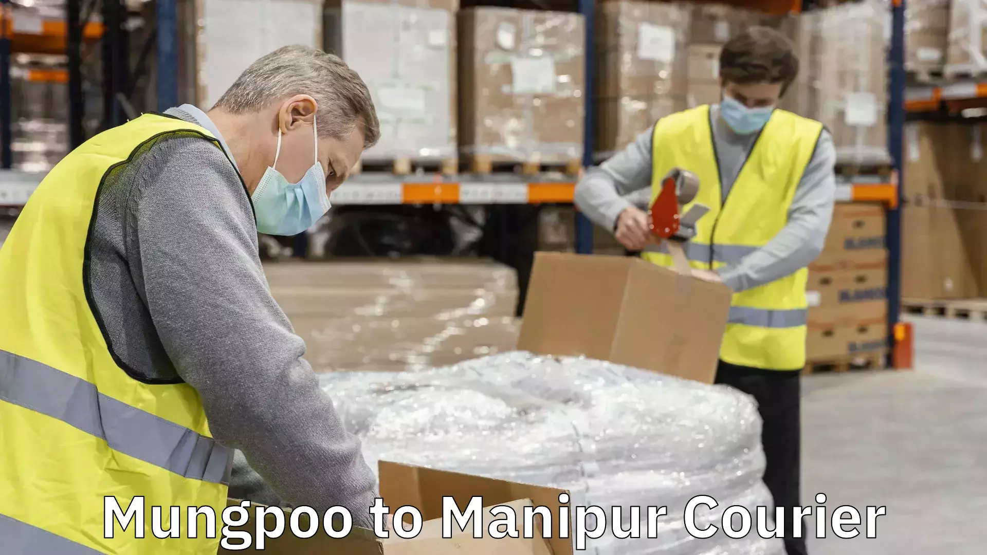 International courier networks Mungpoo to Manipur
