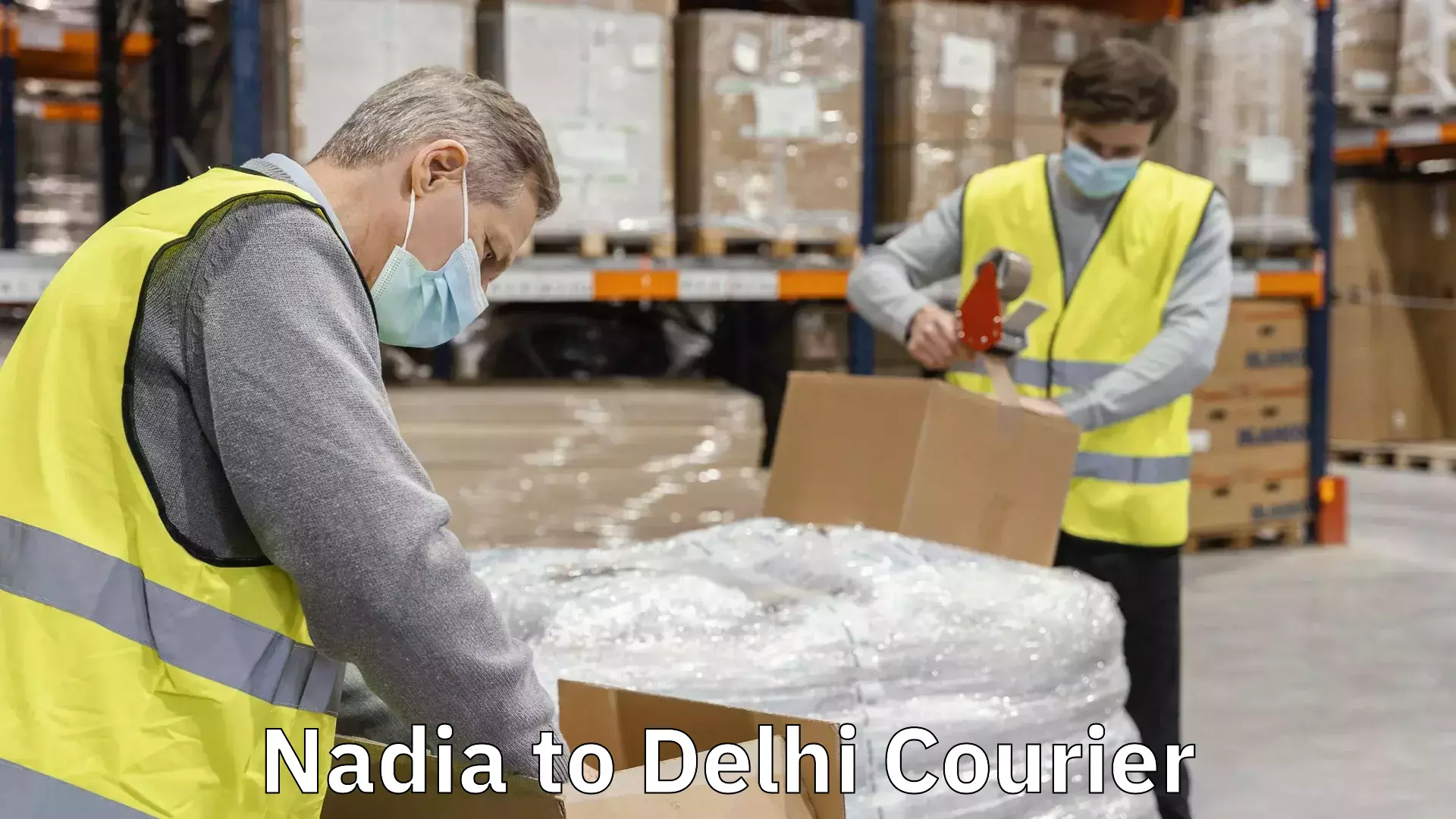 Pharmaceutical courier Nadia to Delhi