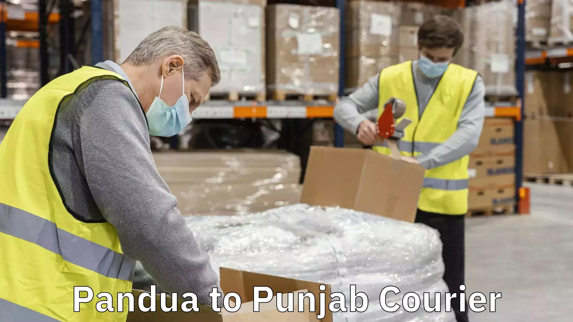 Nationwide delivery network Pandua to Punjab
