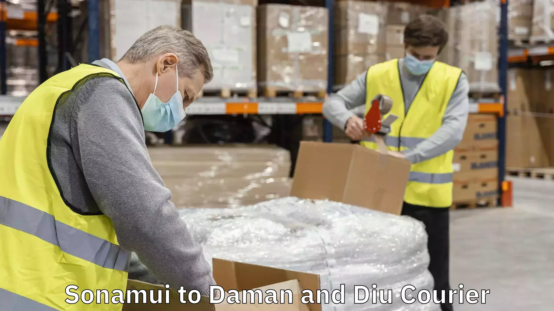 Customer-focused courier Sonamui to Daman and Diu