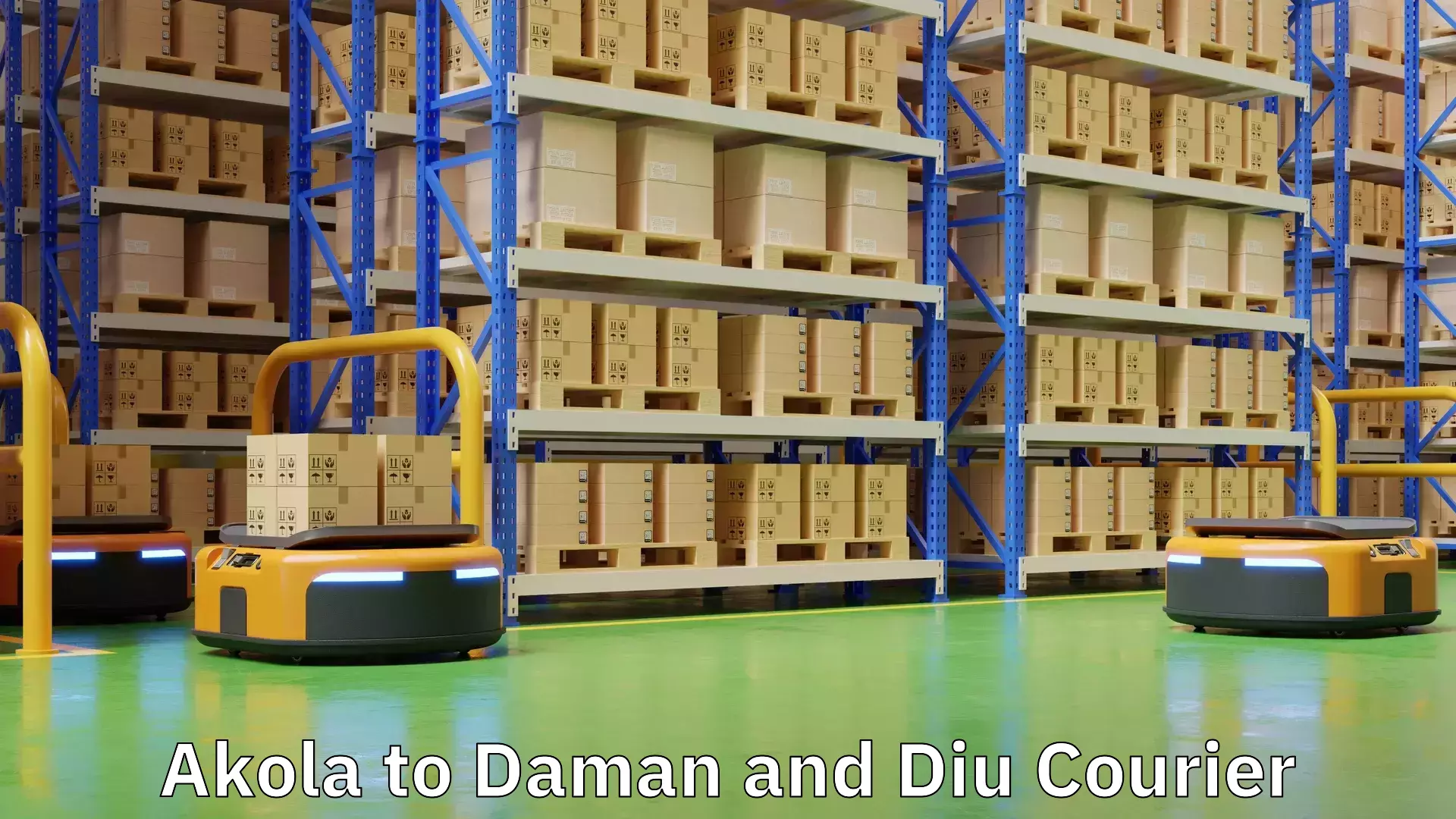Custom logistics solutions Akola to Daman and Diu