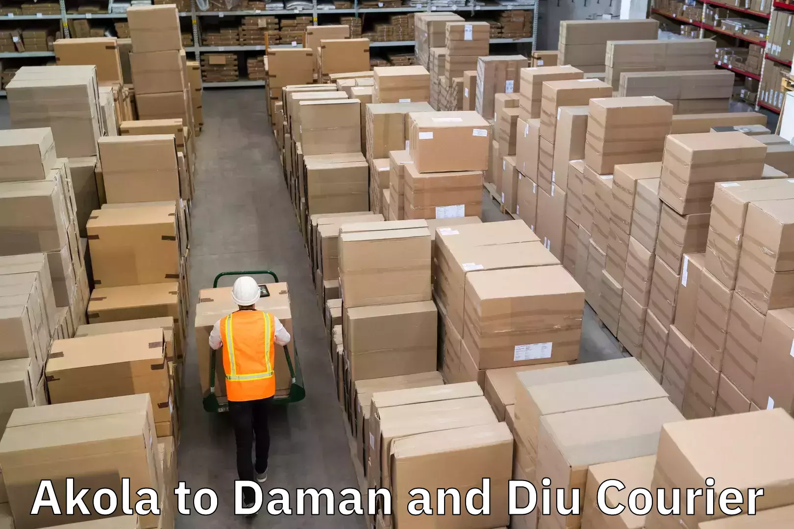 Business logistics support Akola to Daman and Diu