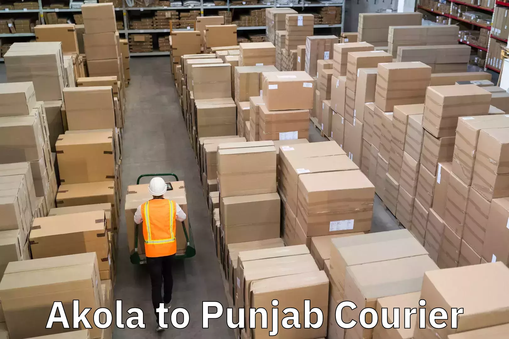 International parcel service in Akola to Punjab