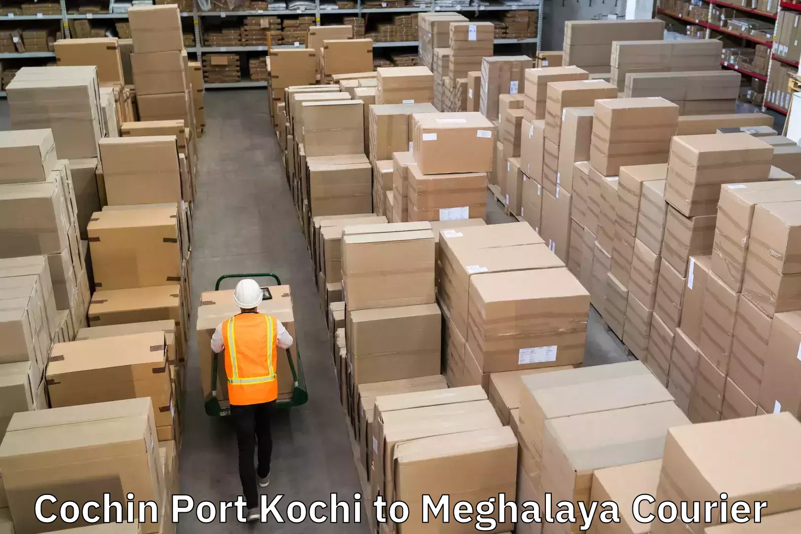 Optimized delivery routes Cochin Port Kochi to East Garo Hills