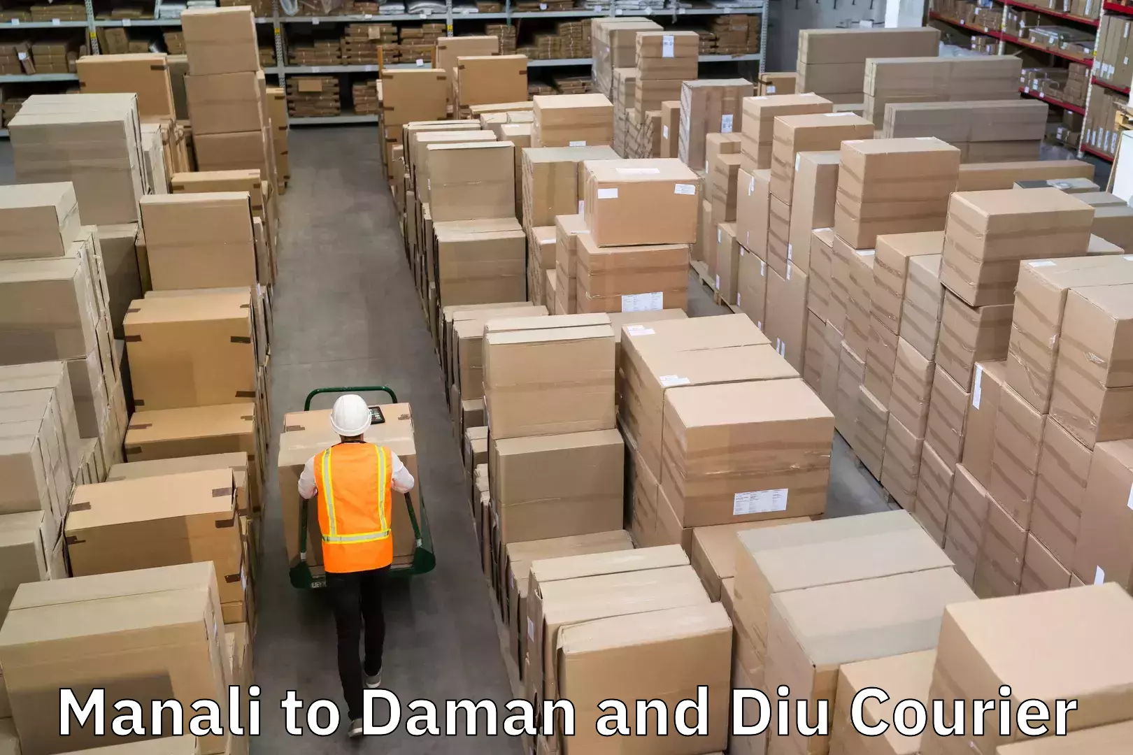 Special handling courier Manali to Daman and Diu