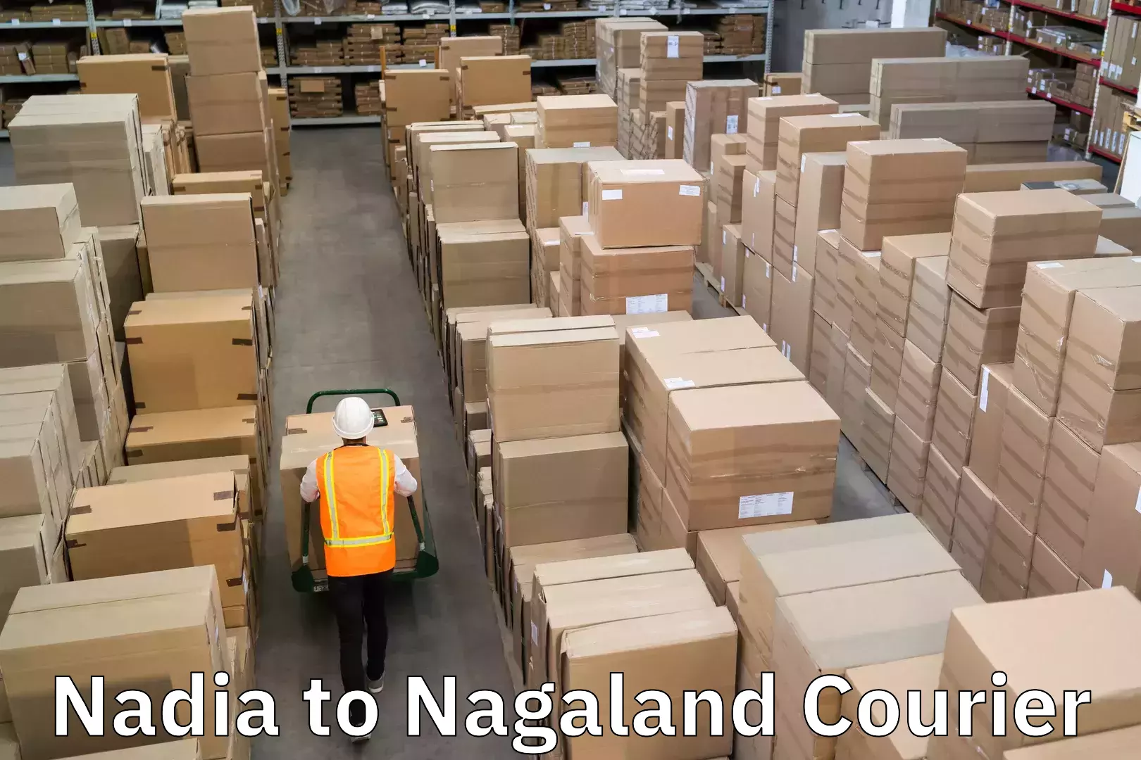 Courier service efficiency Nadia to Nagaland