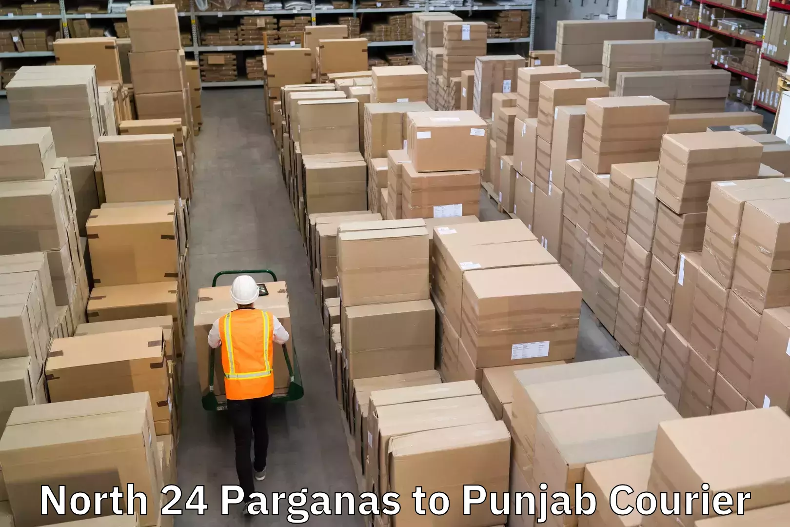 Dynamic parcel delivery North 24 Parganas to Punjab