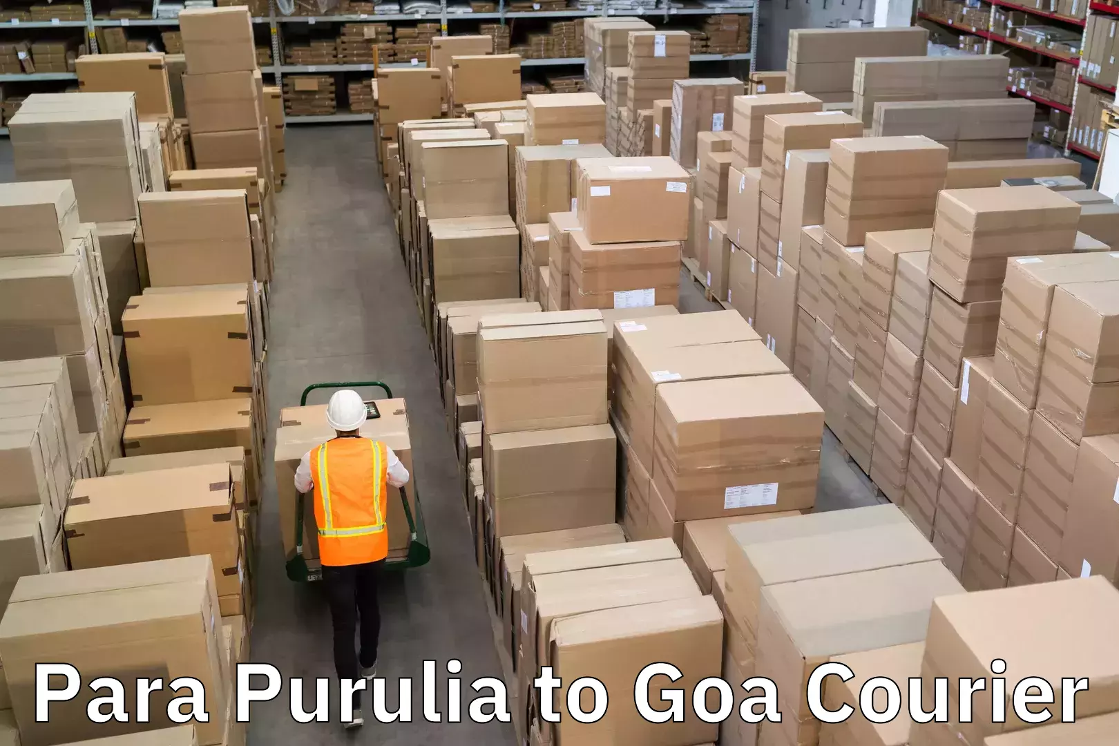 Specialized shipment handling Para Purulia to Bardez