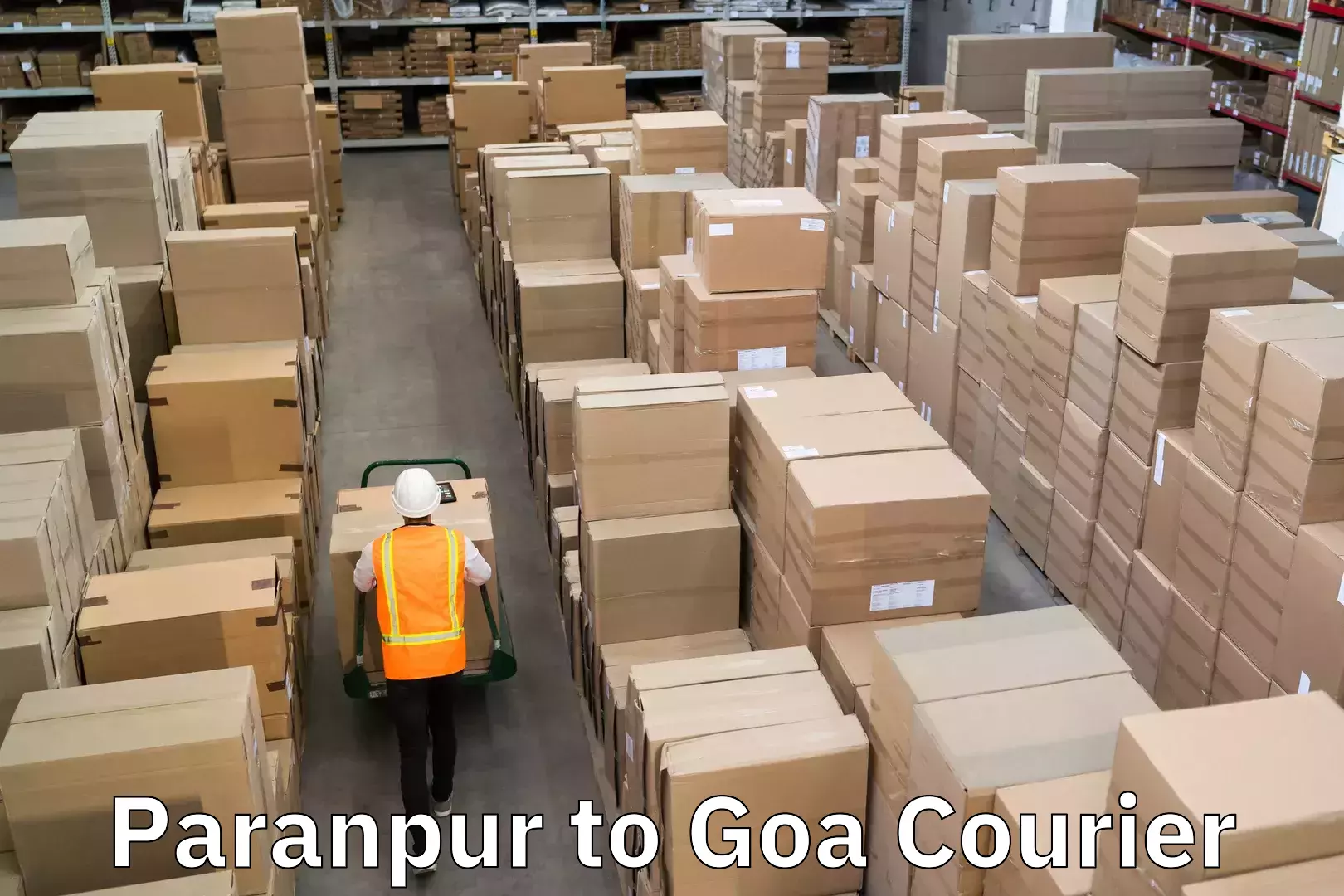 Efficient parcel delivery Paranpur to Panjim