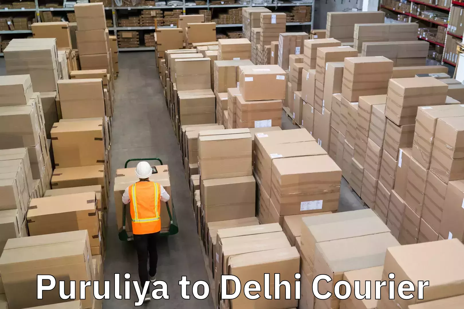 Residential courier service in Puruliya to Kalkaji