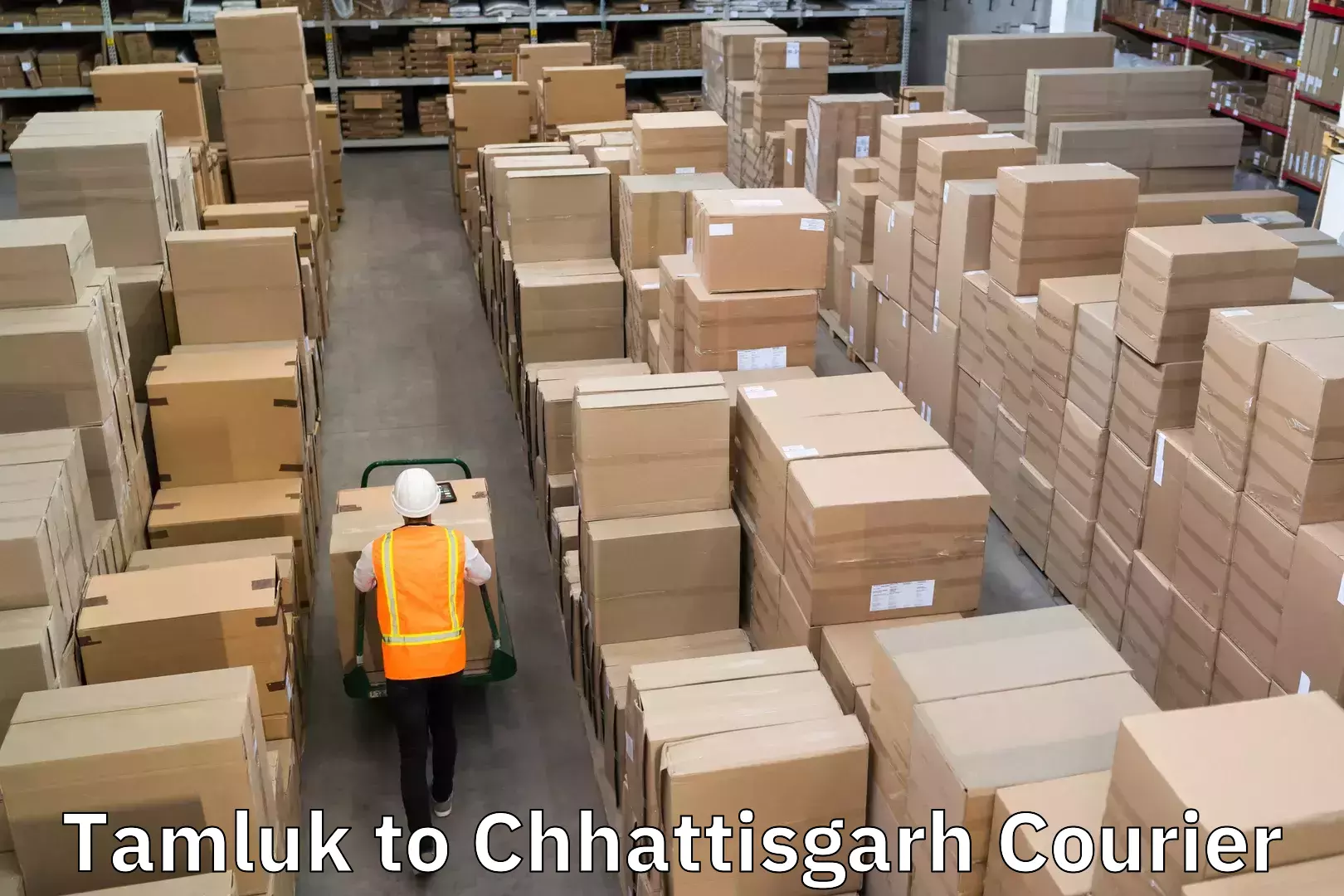 Secure freight services Tamluk to Chhattisgarh