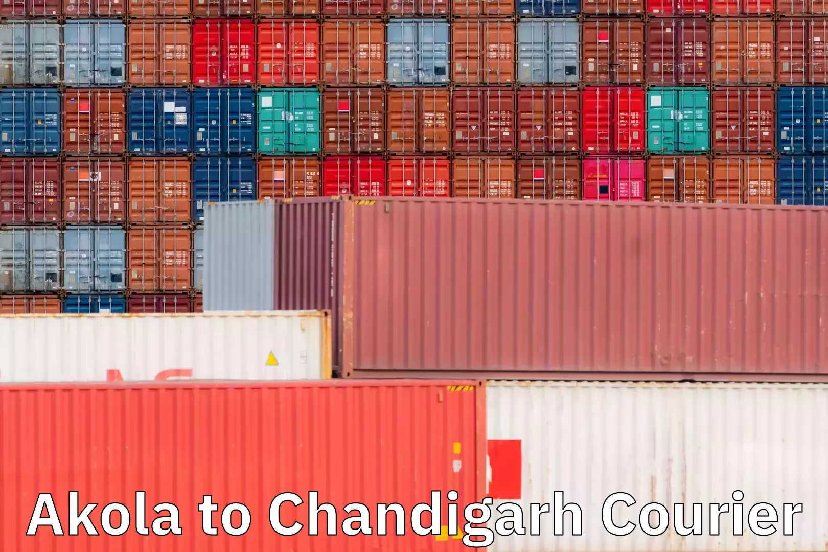 Quality courier partnerships Akola to Chandigarh
