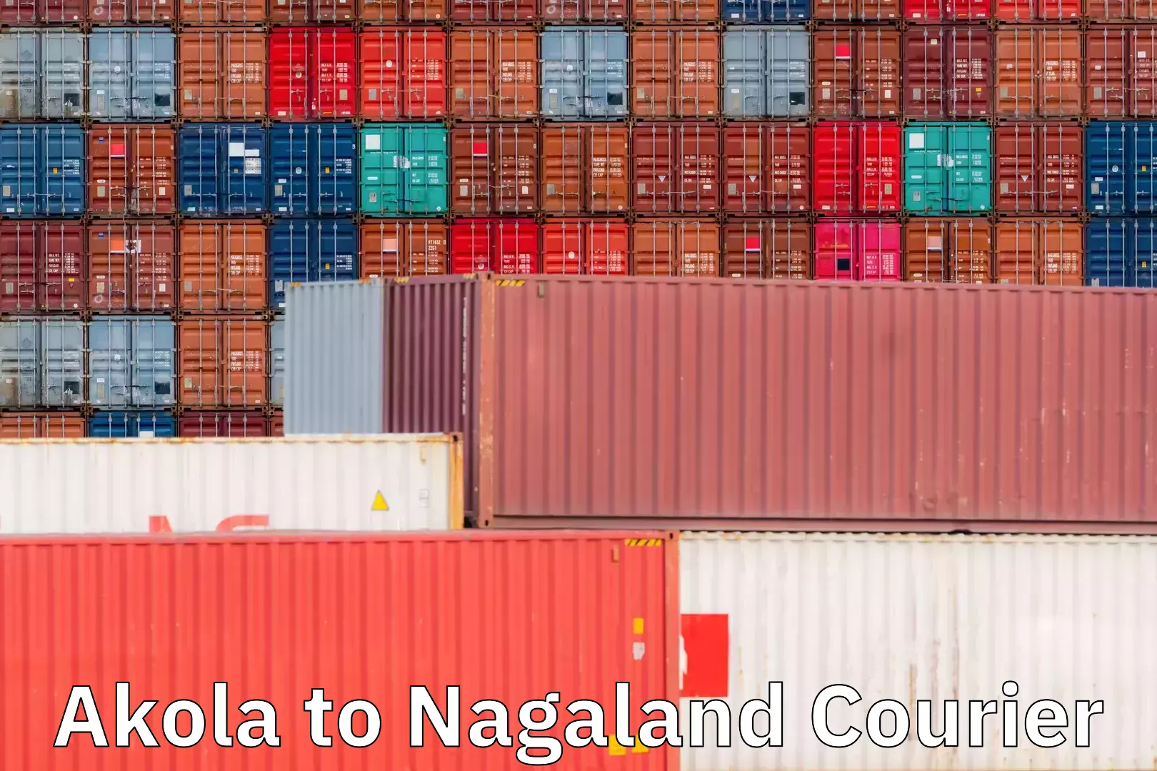 Customized shipping options Akola to Nagaland