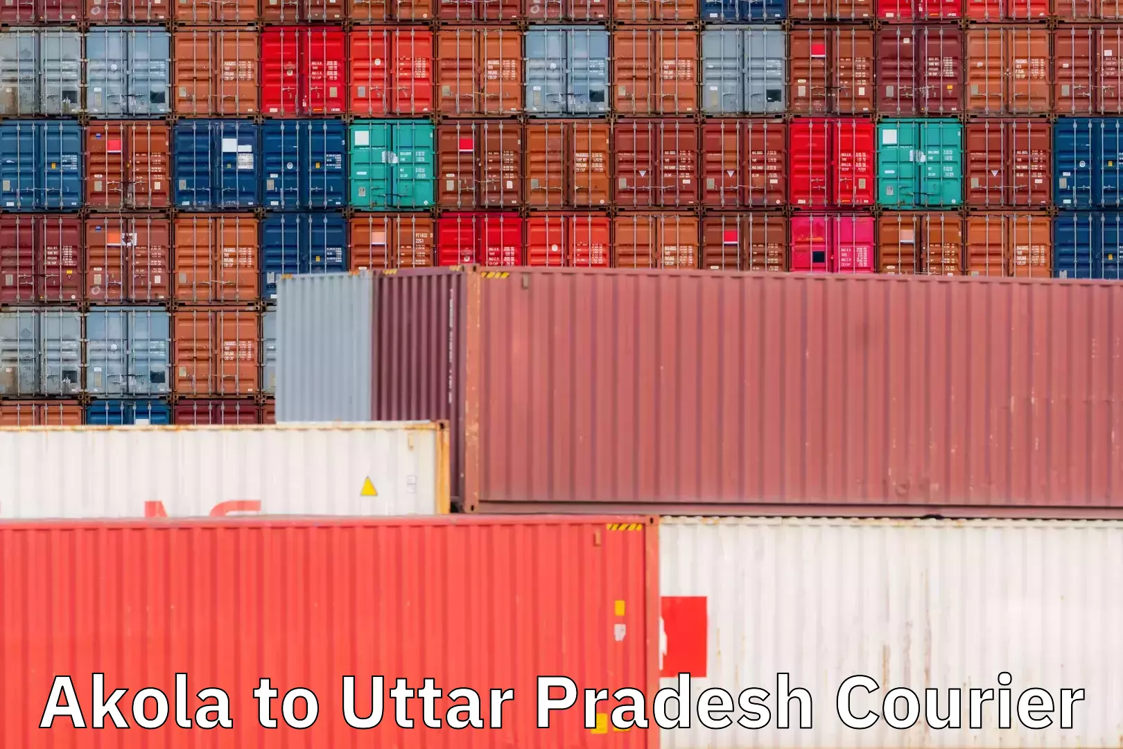 Next-day freight services Akola to Uttar Pradesh