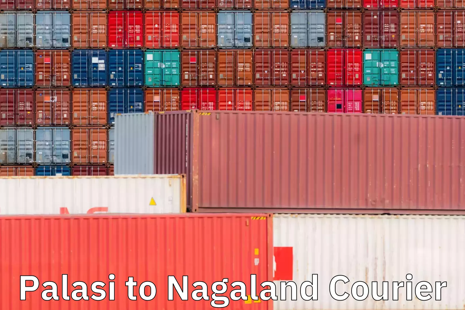 Trackable shipping service Palasi to Nagaland