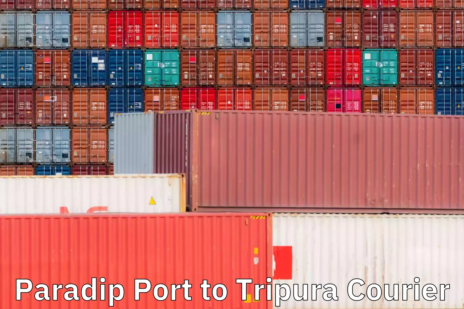 Flexible parcel services Paradip Port to Tripura