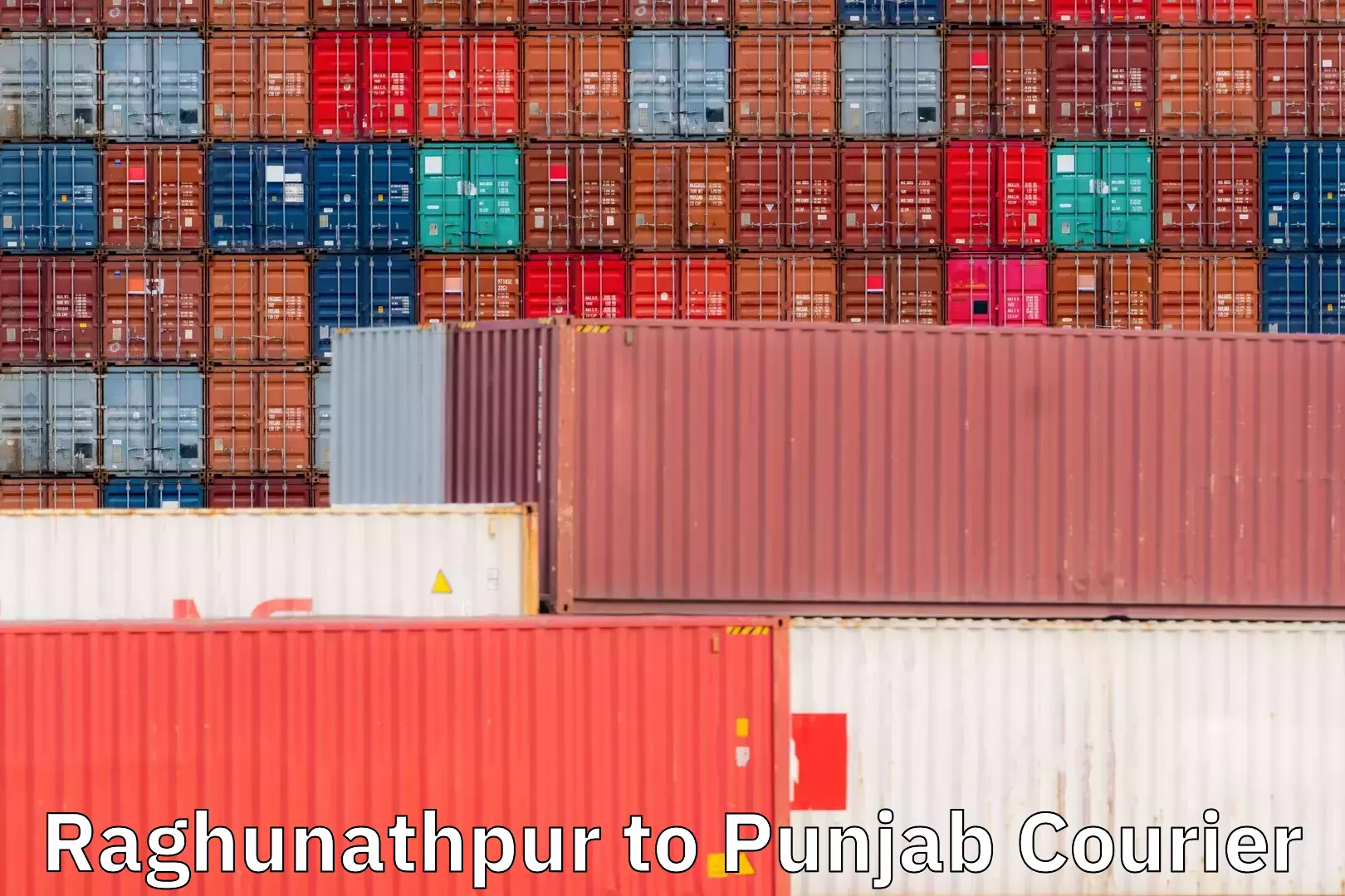 On-demand shipping options Raghunathpur to Punjab
