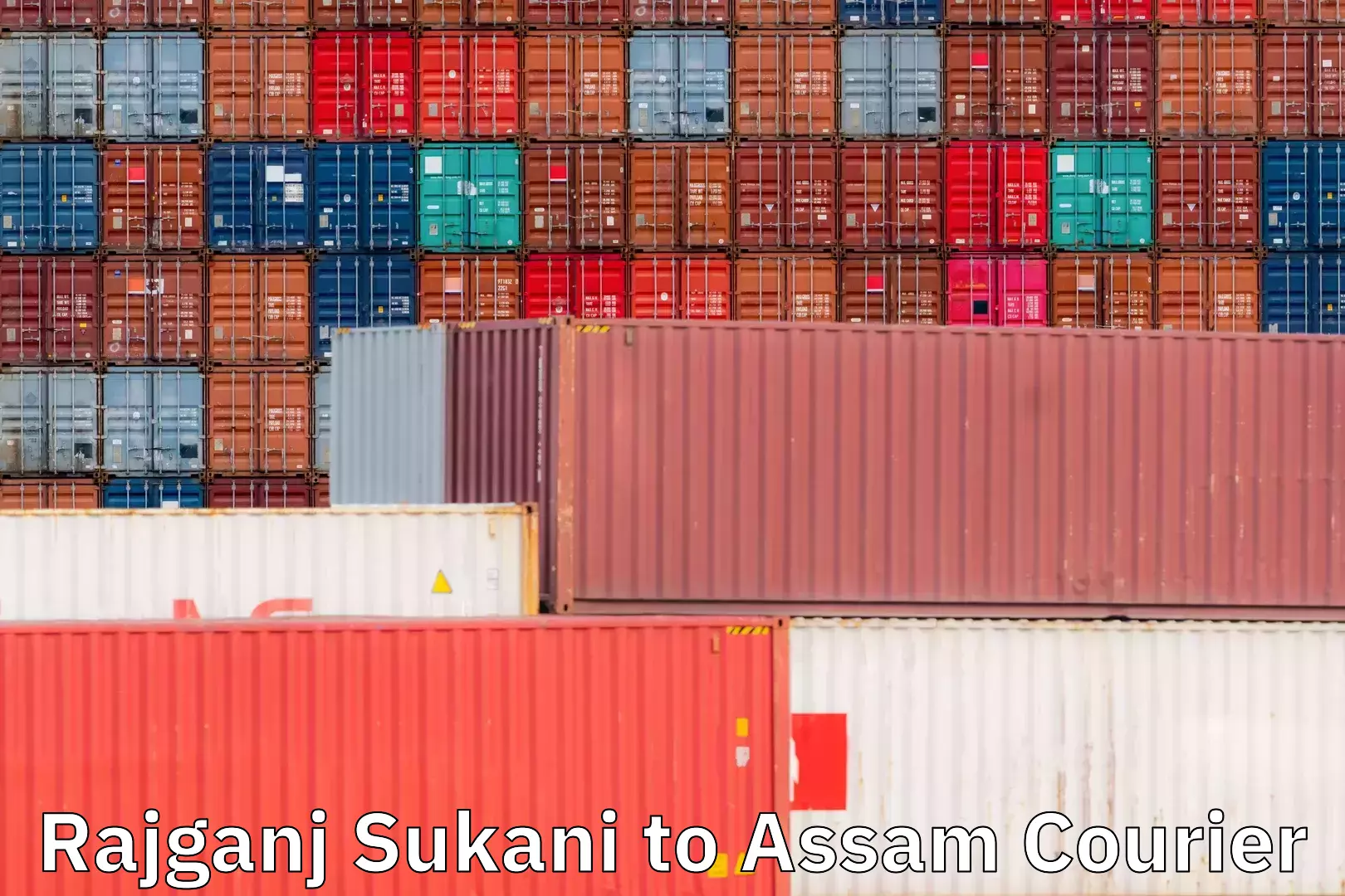 Dynamic courier services Rajganj Sukani to Assam