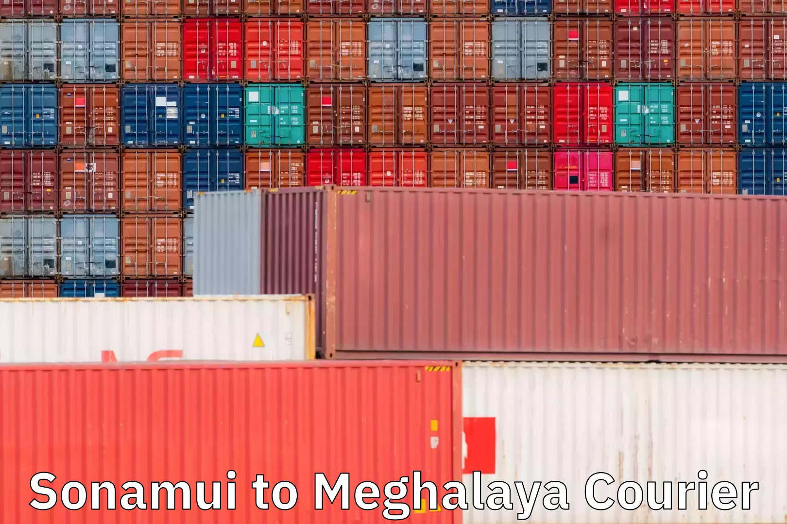 Cost-effective shipping solutions Sonamui to Meghalaya