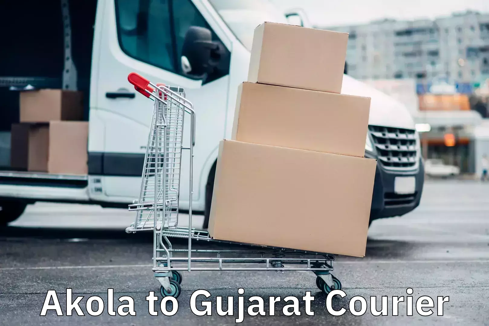 Air courier services Akola to Gujarat