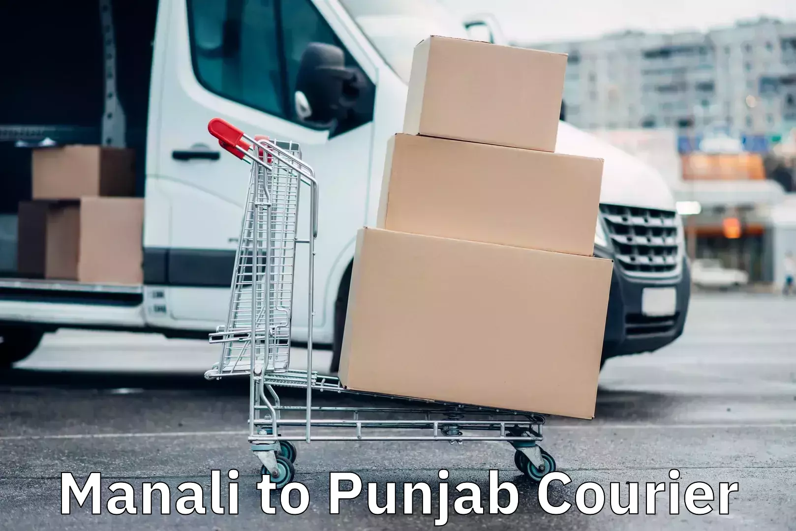 Expedited parcel delivery Manali to Punjab