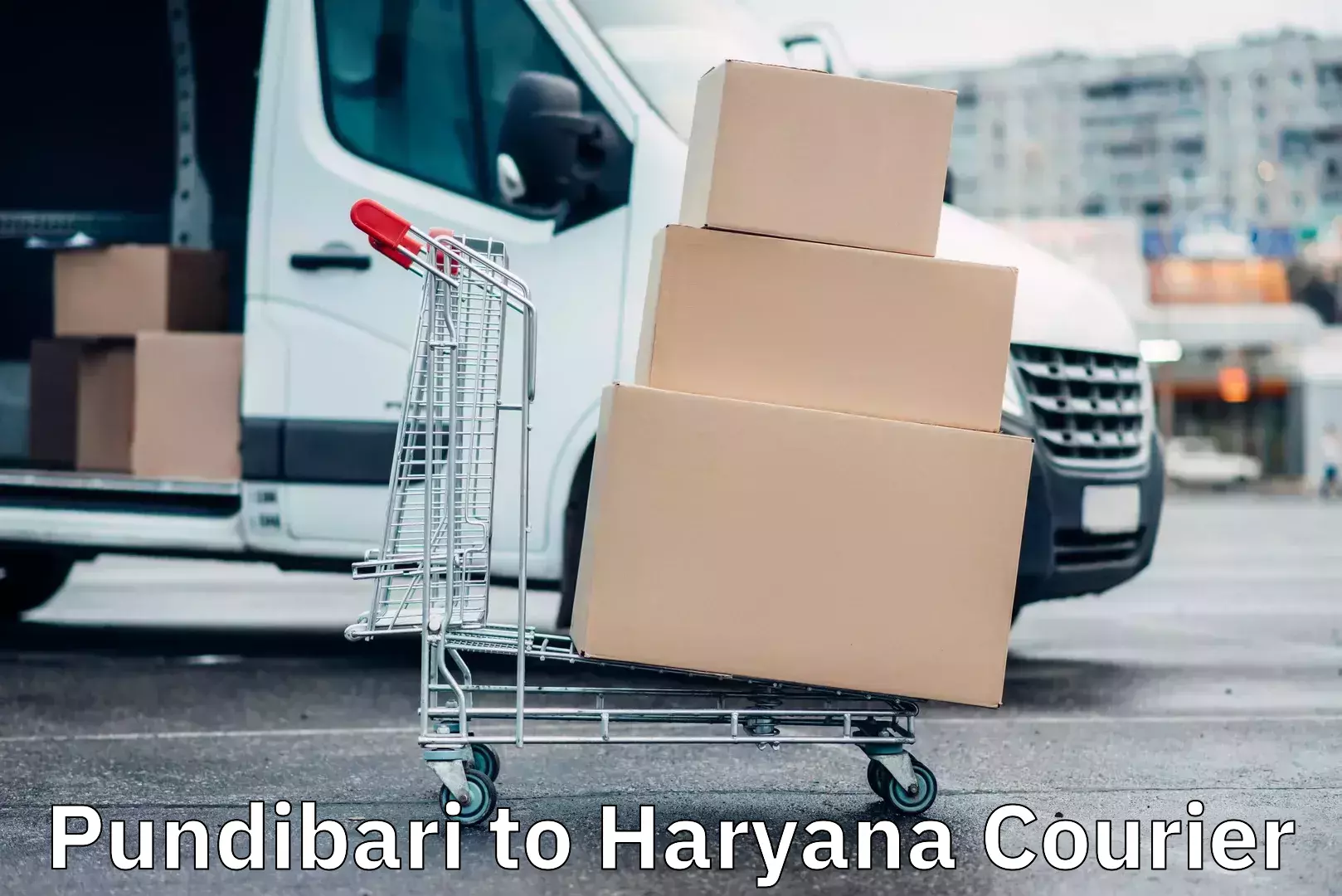 Domestic courier Pundibari to Haryana
