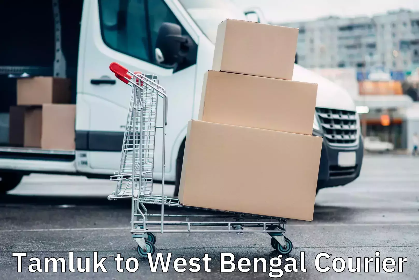 Corporate courier solutions Tamluk to Binnaguri