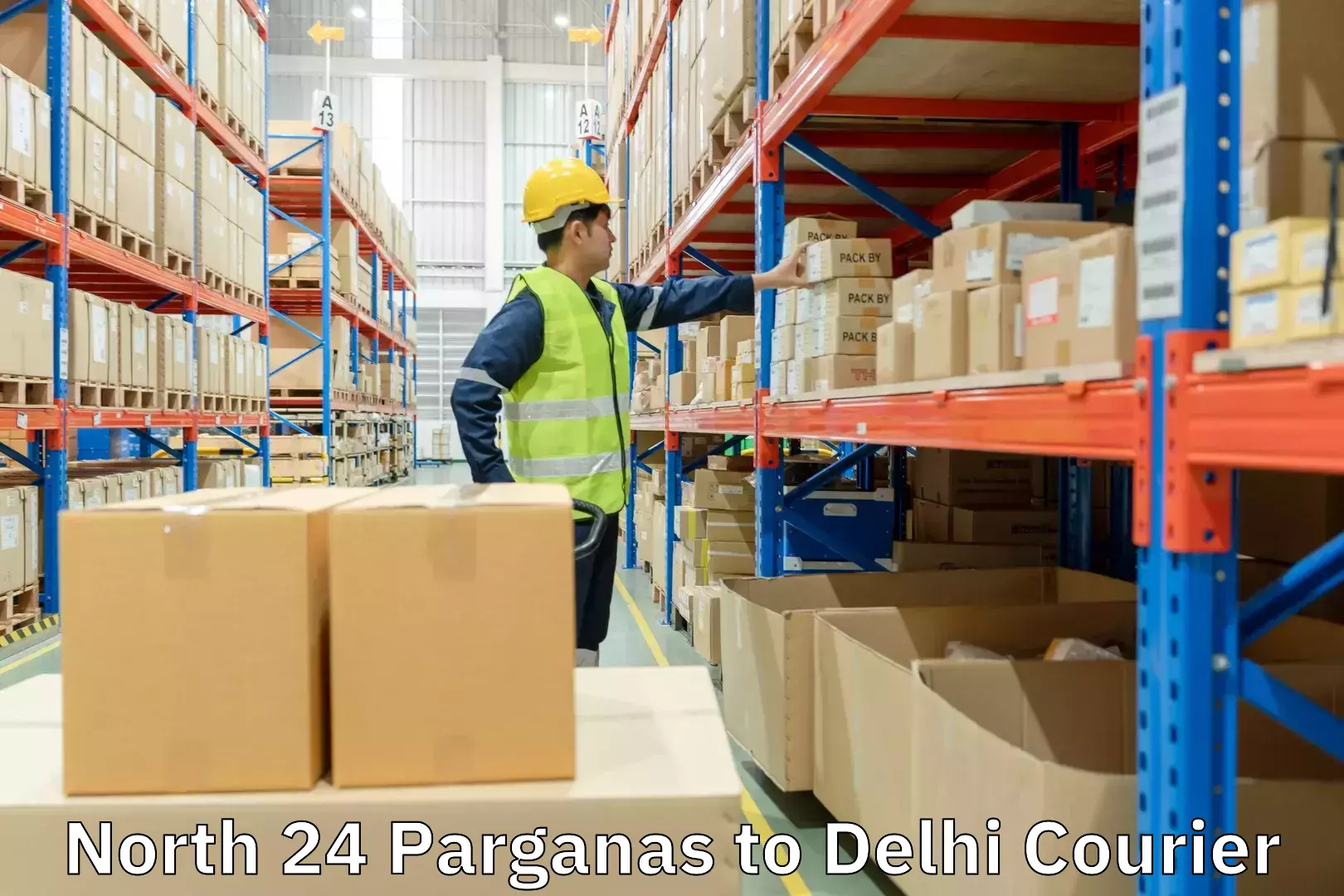 Personal parcel delivery North 24 Parganas to Delhi