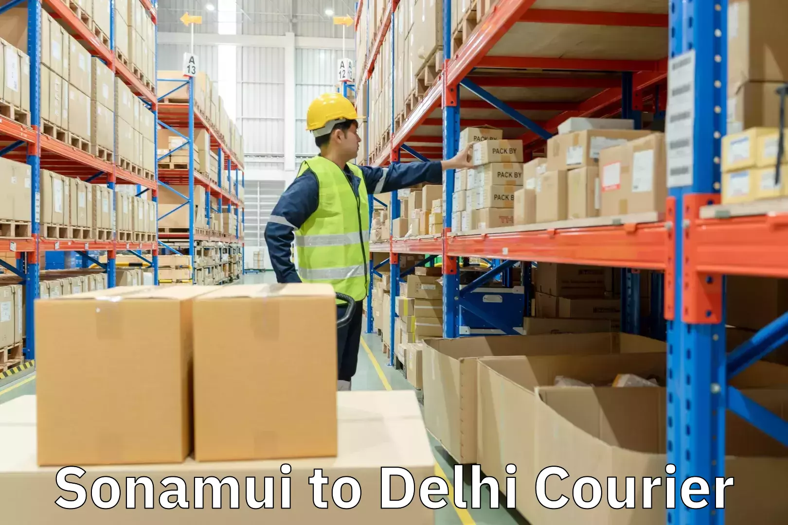 Large package courier Sonamui to Delhi