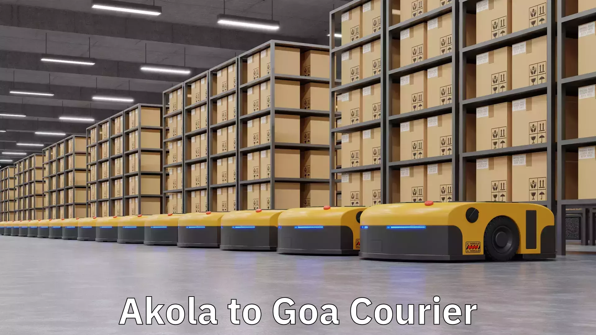 Courier dispatch services Akola to Goa