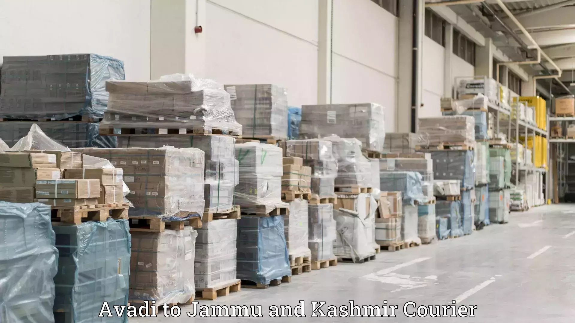 Quality moving and storage Avadi to Jammu and Kashmir