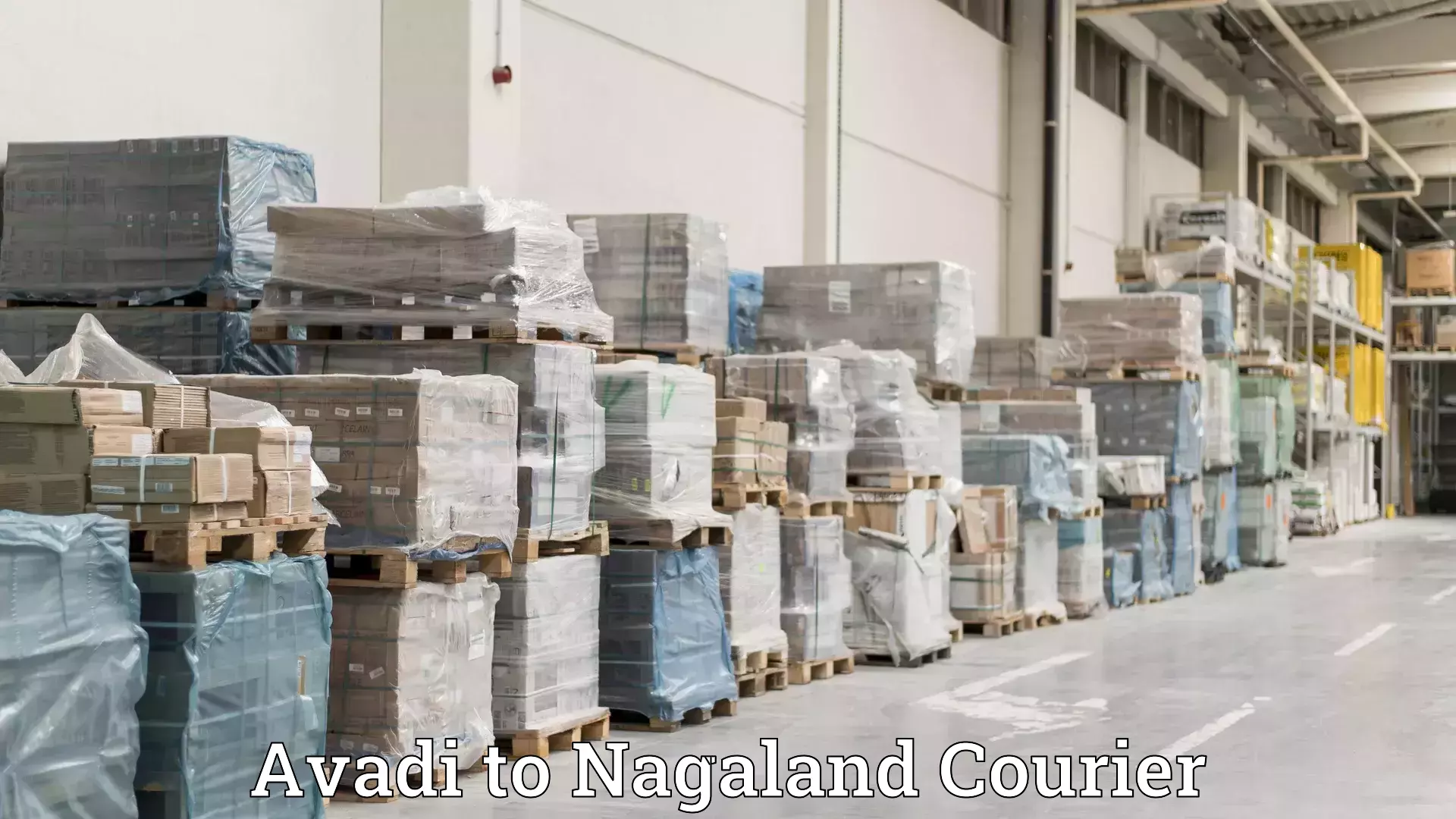 Smooth relocation services in Avadi to Nagaland