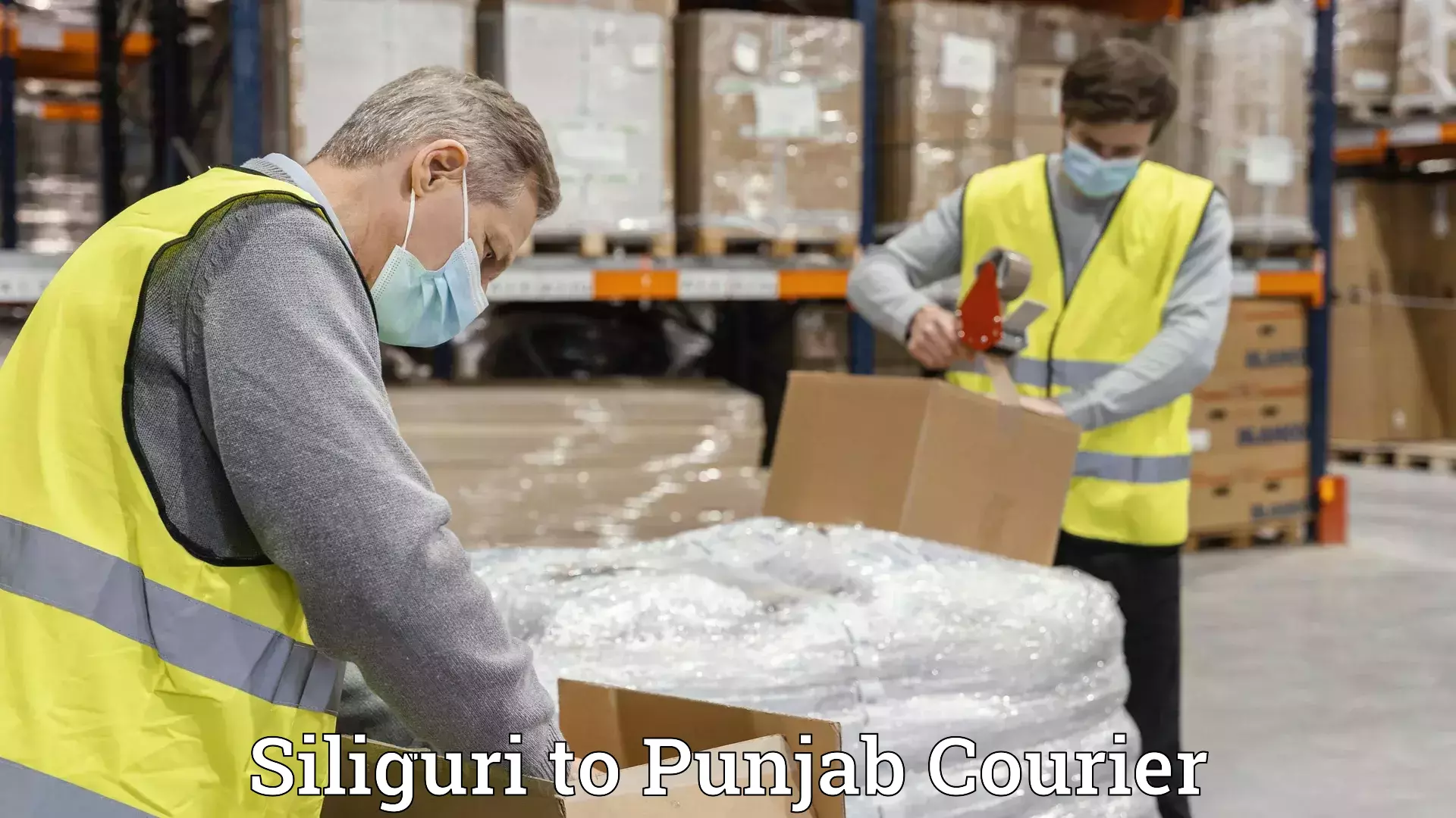 Expert household relocation Siliguri to Punjab