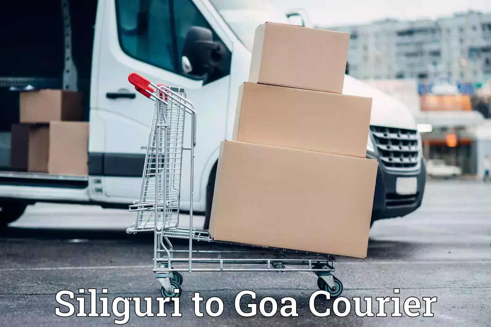 Packing and moving services Siliguri to Canacona