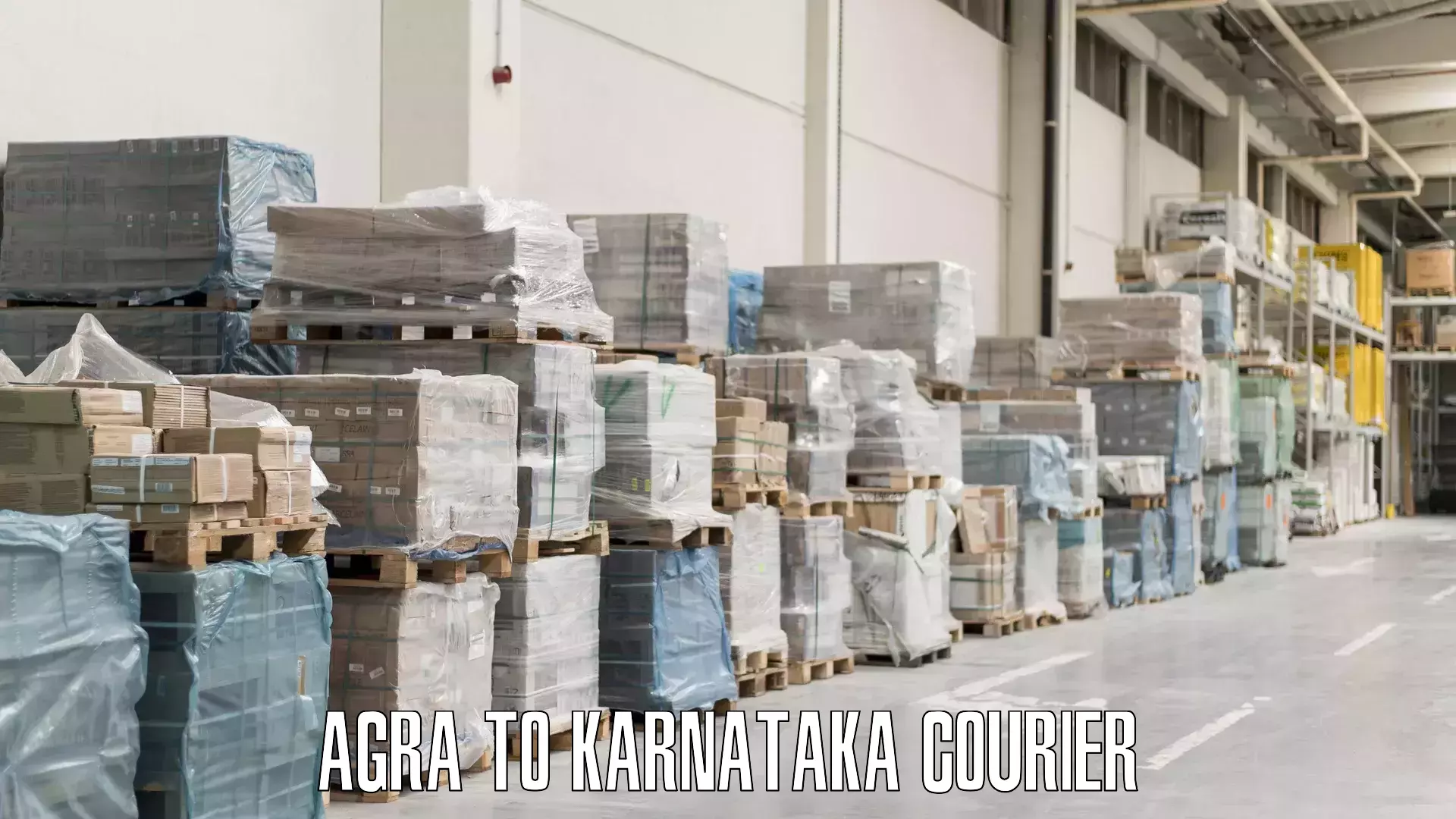 Electronic items luggage shipping Agra to Karnataka