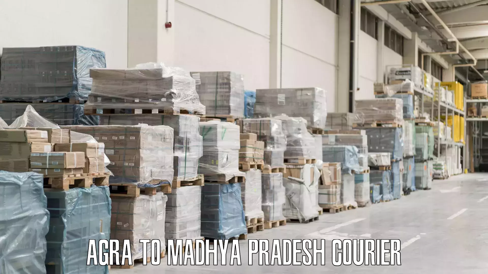 Single item baggage courier Agra to Shahpura Dindori