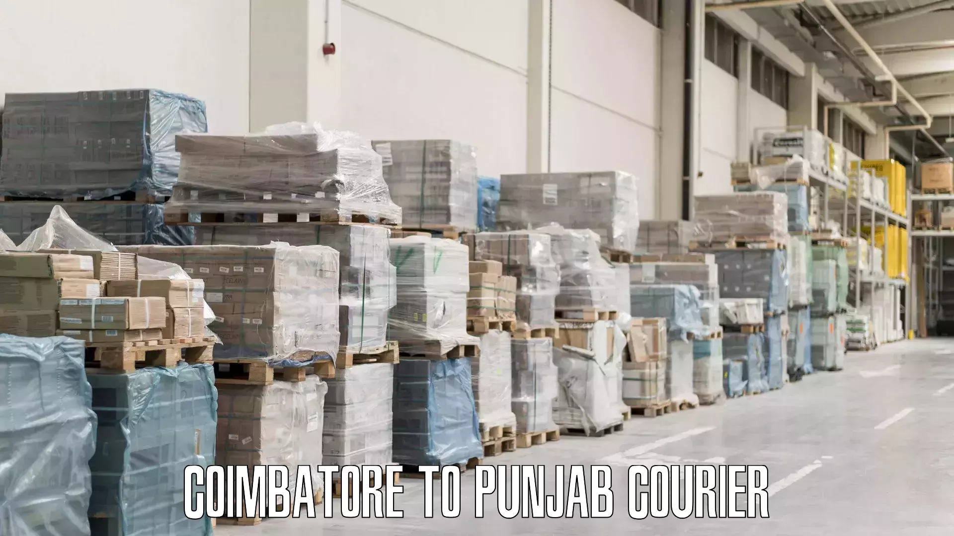 Baggage delivery planning Coimbatore to Punjab