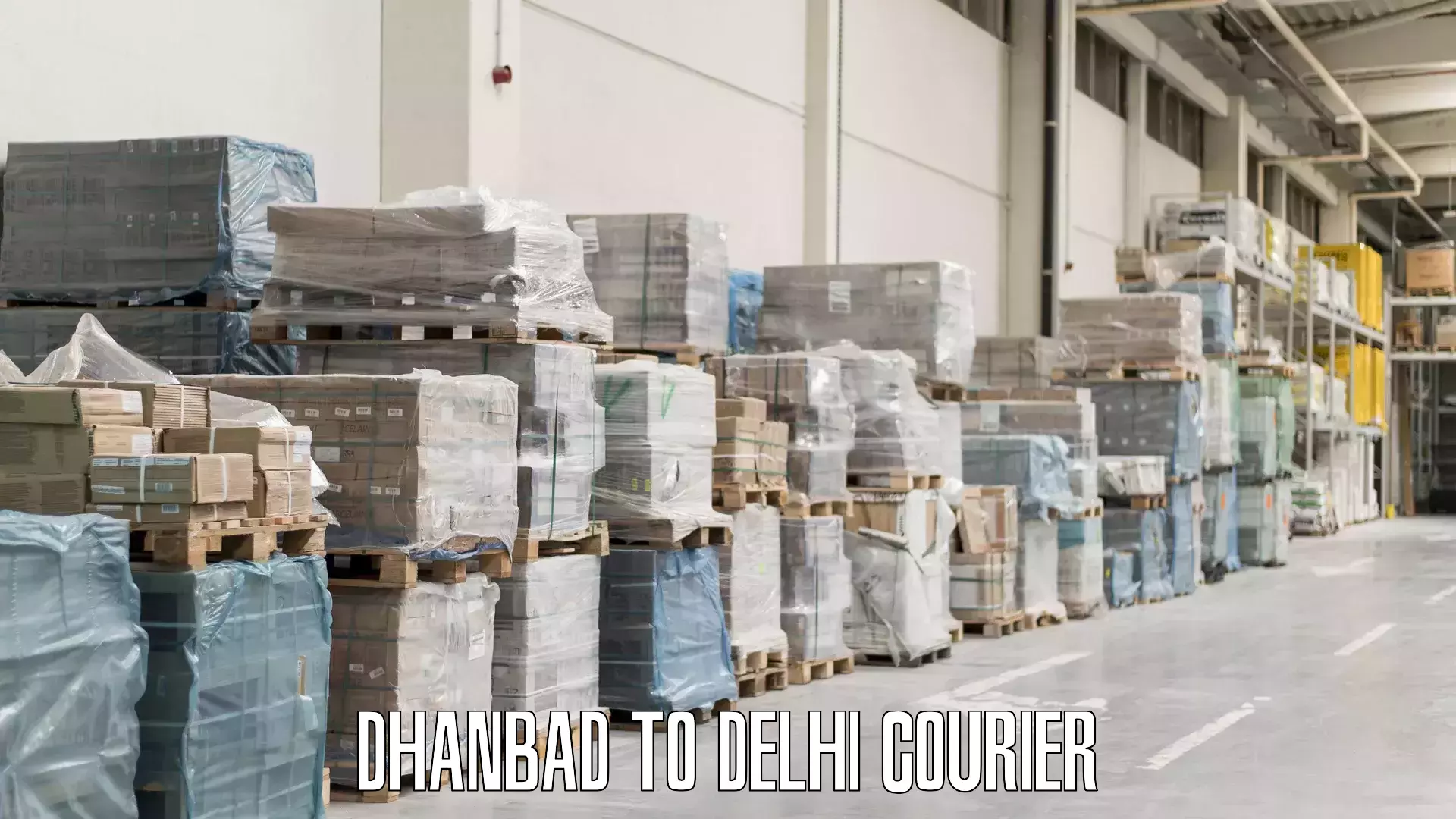 Corporate baggage transport Dhanbad to Delhi