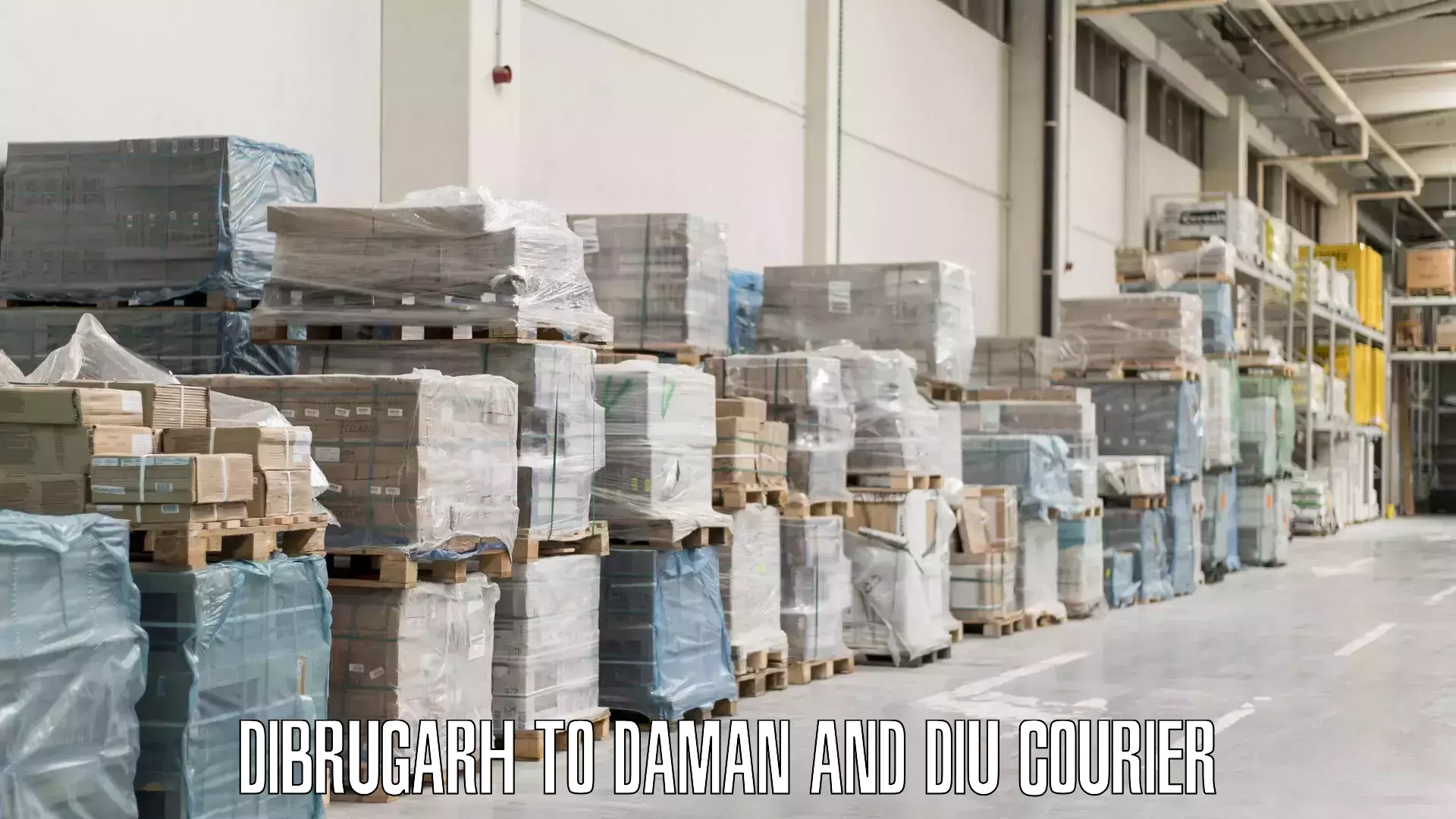 Baggage delivery planning Dibrugarh to Daman and Diu