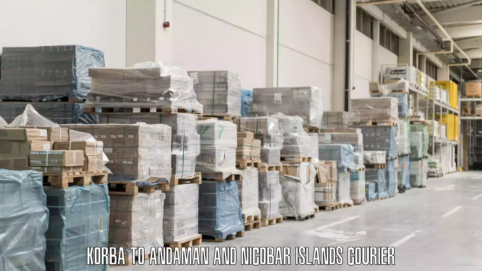 Light baggage courier Korba to Nicobar