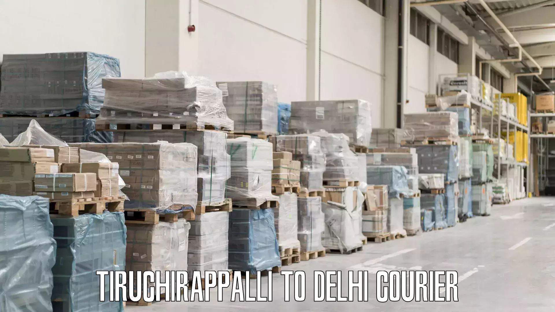 Global baggage shipping Tiruchirappalli to Jawaharlal Nehru University New Delhi