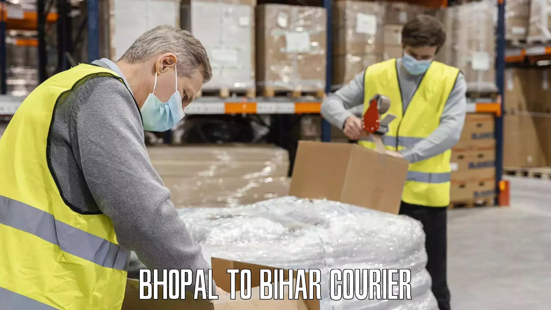 Electronic items luggage shipping Bhopal to Bihar