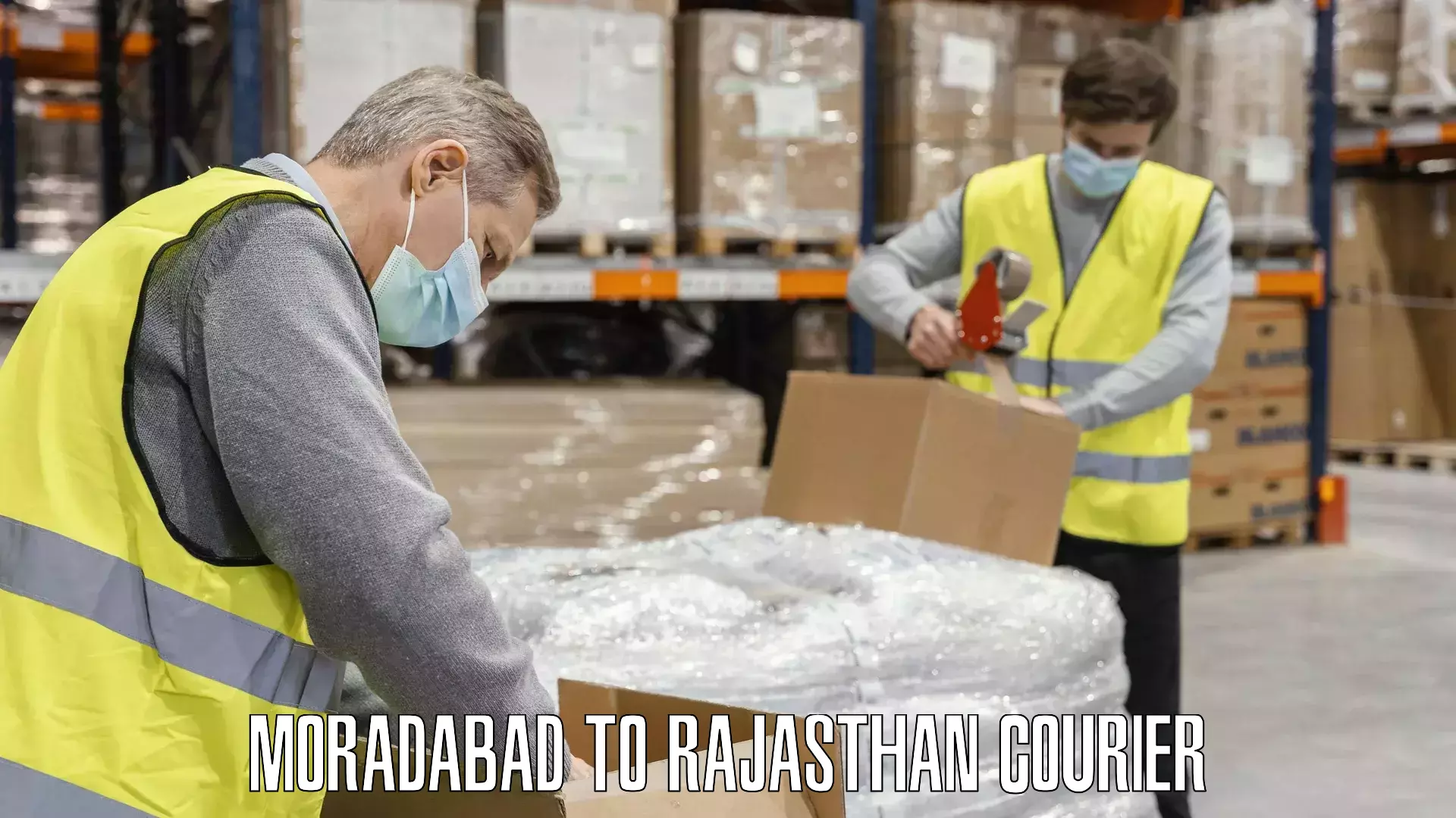 Baggage shipping quotes Moradabad to Rajasthan