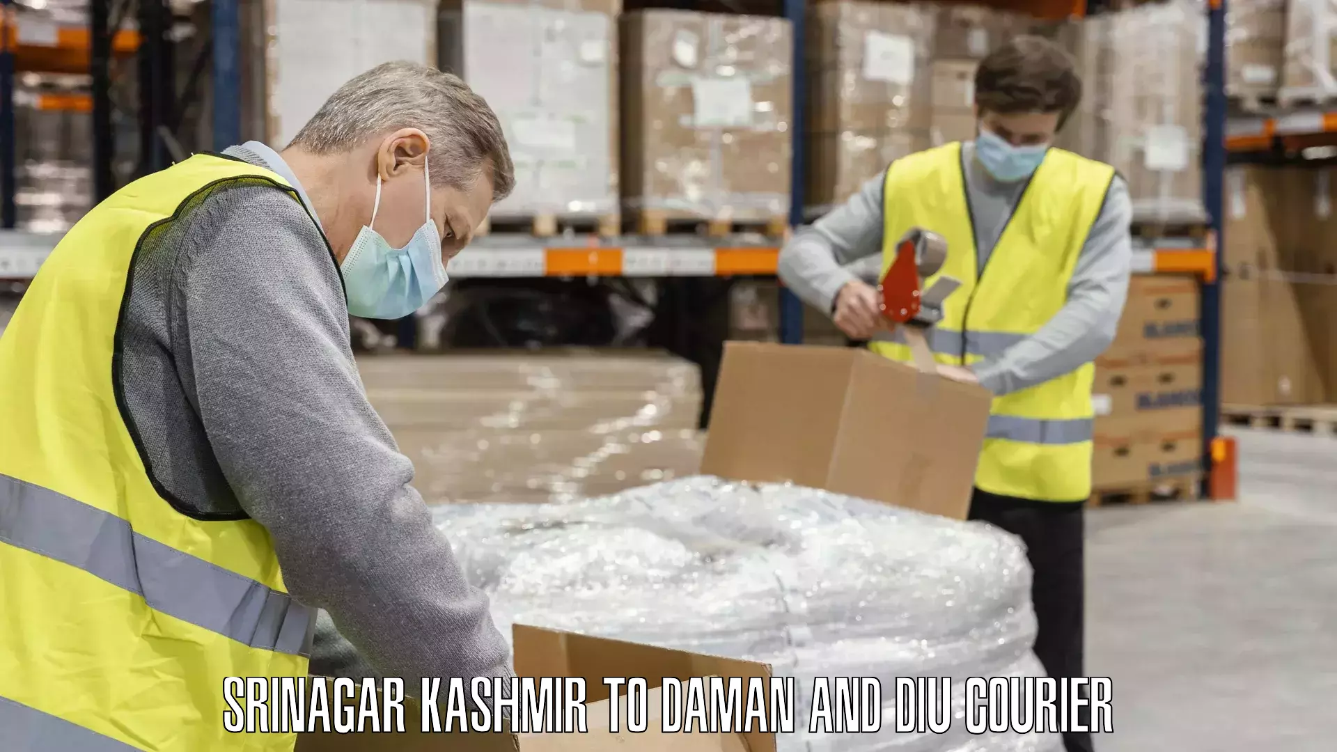 Baggage shipping experts Srinagar Kashmir to Daman and Diu