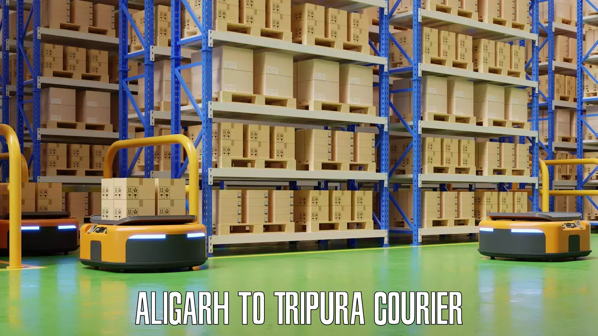 Luggage shipping rates calculator Aligarh to South Tripura