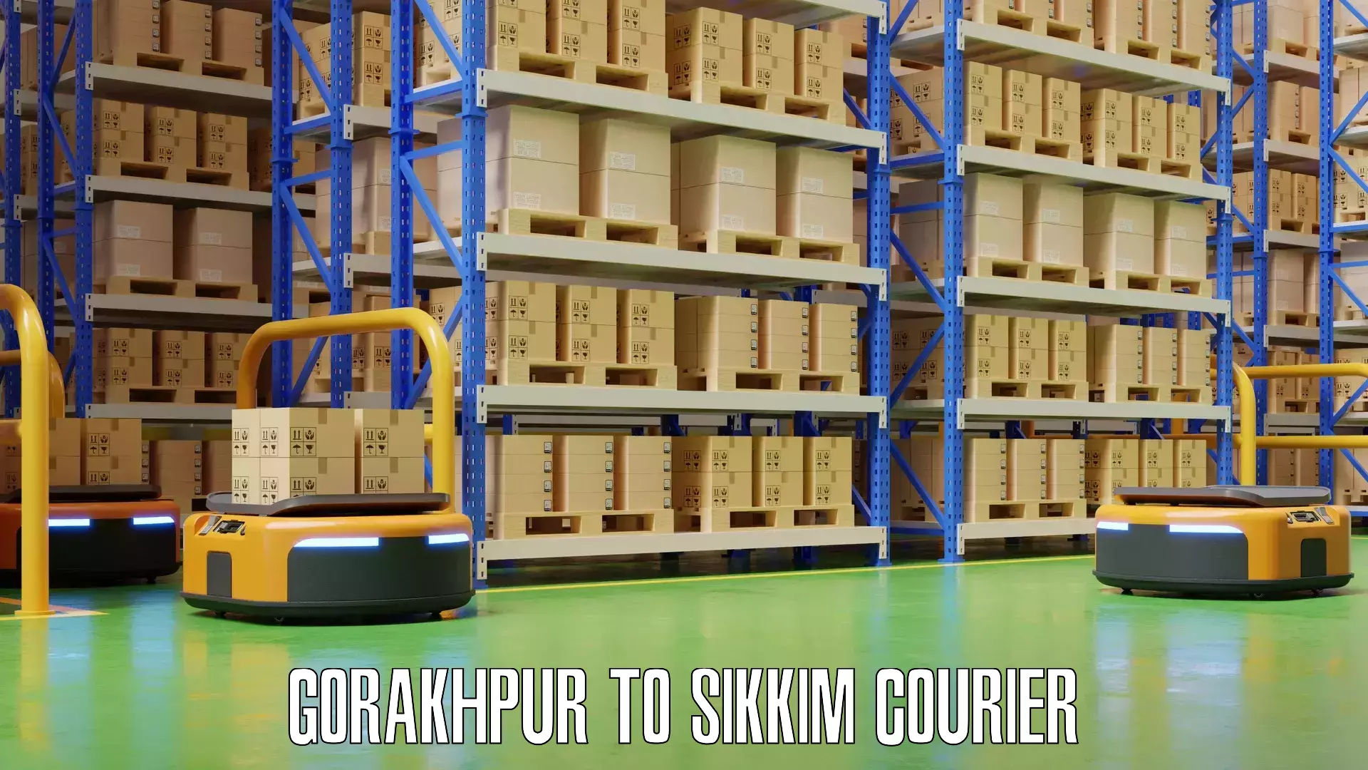Baggage courier rates calculator Gorakhpur to Sikkim