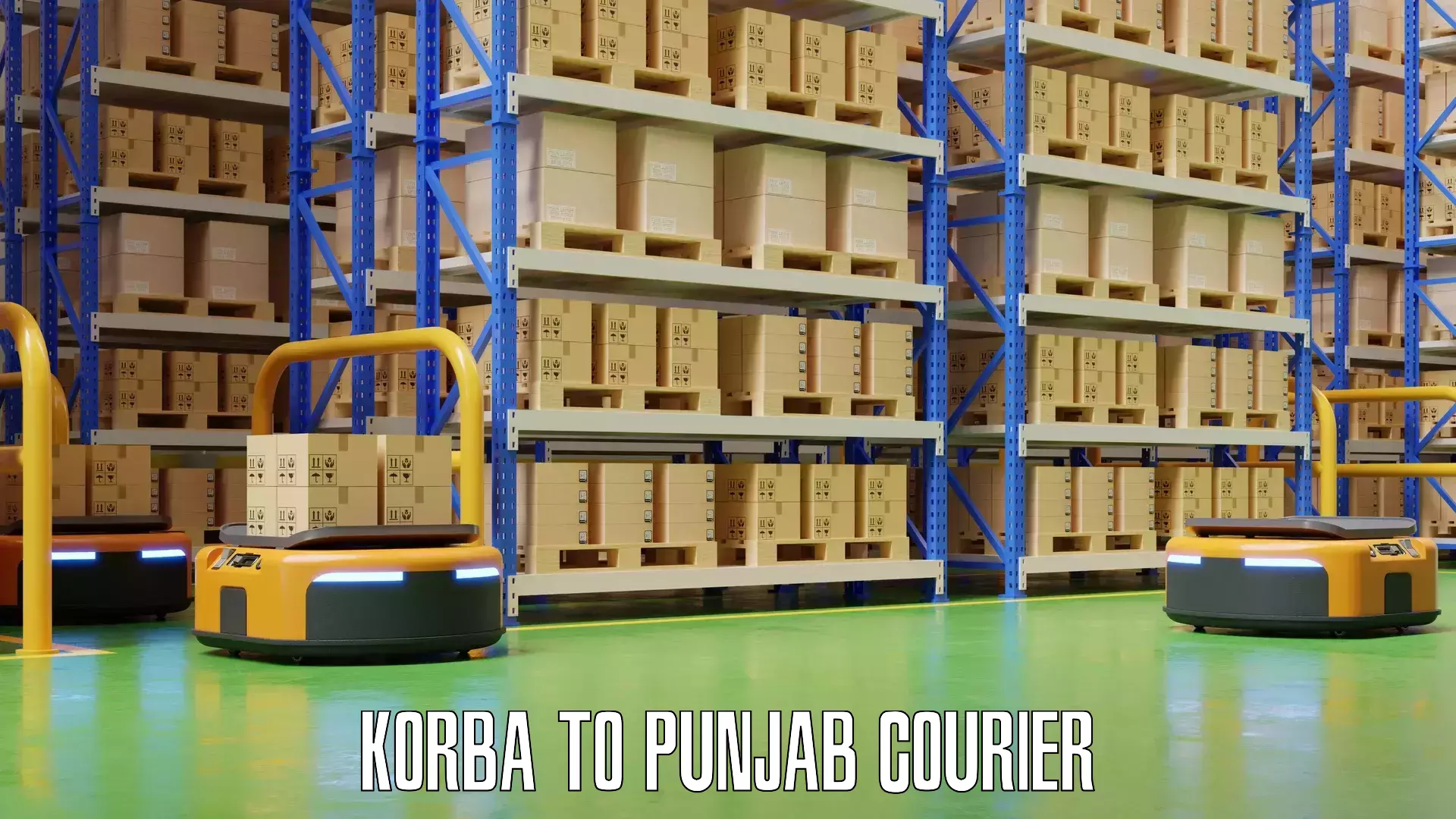 Baggage shipping service Korba to Punjab
